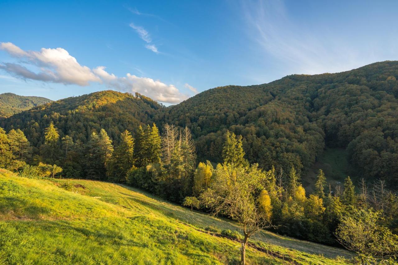 Ubytovanie Pod Gastanom Hodruša Exterior foto